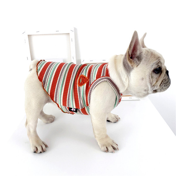 Haine pentru câini în dungi