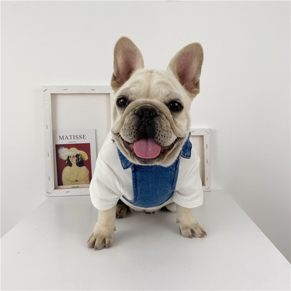 Taskutega teksakombinesoon koertele