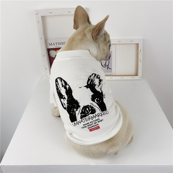 Bluza cu aplicatie in doua culori