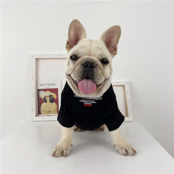 Bluza cu aplicatie in doua culori