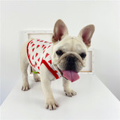 Kaasaegne koeravest erineva kasutusega