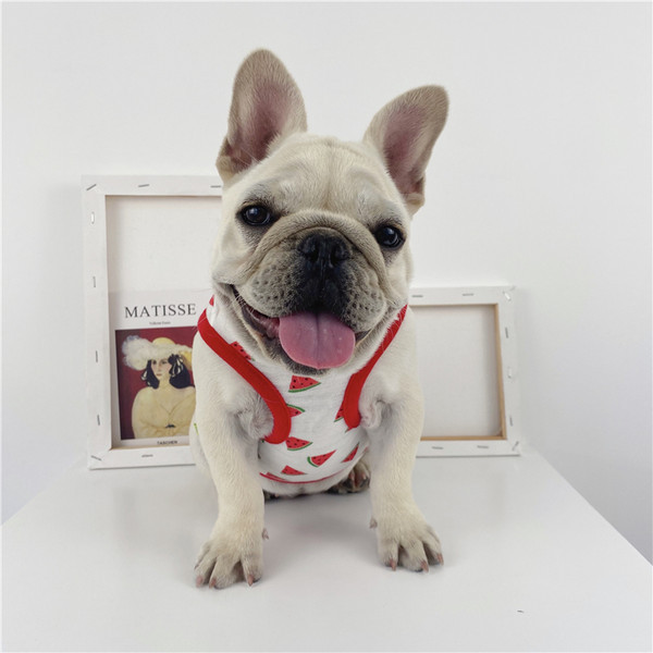 Kaasaegne koeravest erineva kasutusega