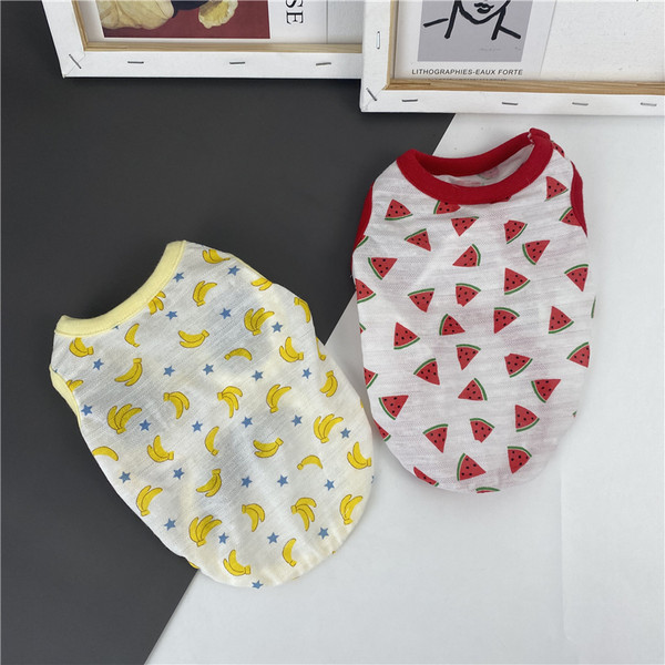 Kaasaegne koeravest erineva kasutusega