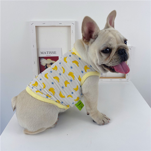 Kaasaegne koeravest erineva kasutusega