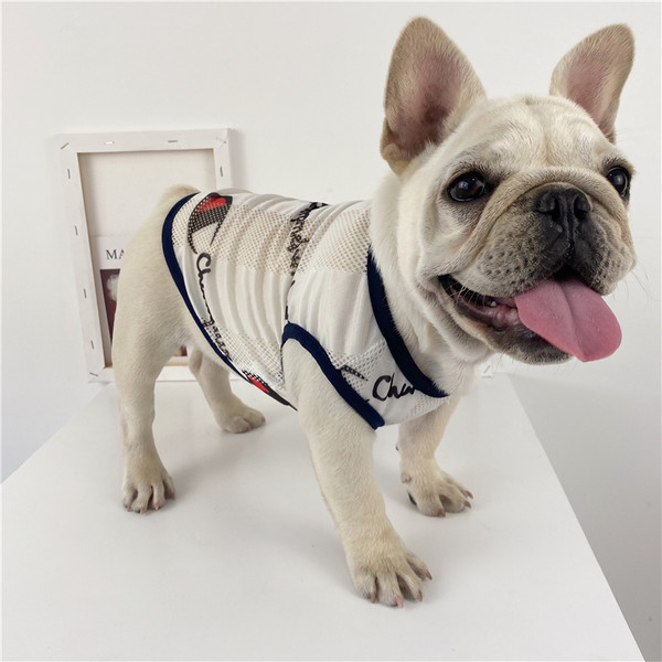 Λεπτή διχτυωτή μπλούζα με απλικέ για σκύλους