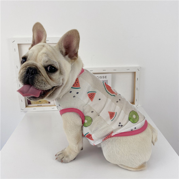 Λεπτή διχτυωτή μπλούζα με απλικέ για σκύλους