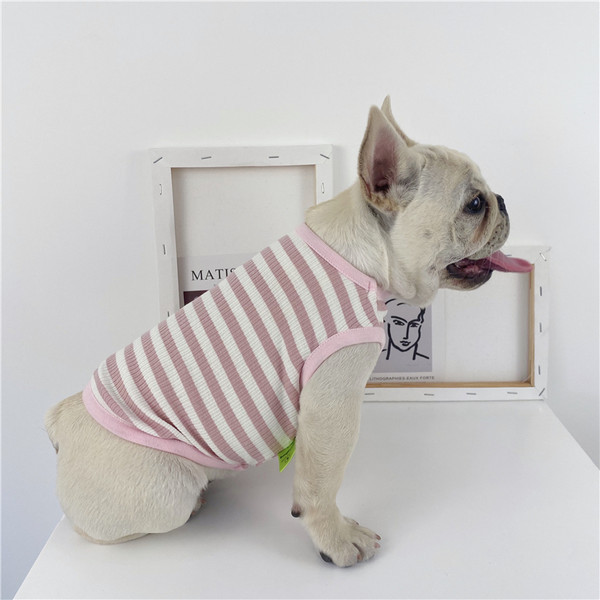 Kahes värvitoonis triibulised riided koerale