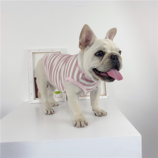 Kahes värvitoonis triibulised riided koerale