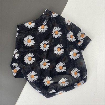 Lilleline pluus koertele