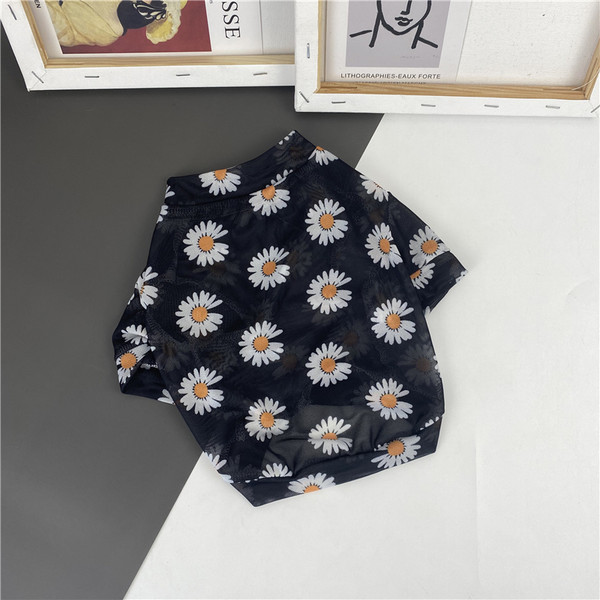 Lilleline pluus koertele