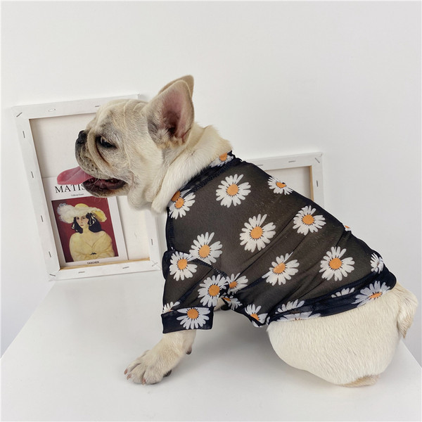 Lilleline pluus koertele