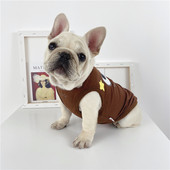 Koerte suvine õhuke aplikatsiooniga vest