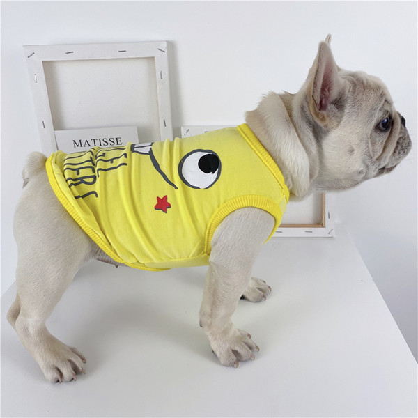 Koerte suvine õhuke aplikatsiooniga vest