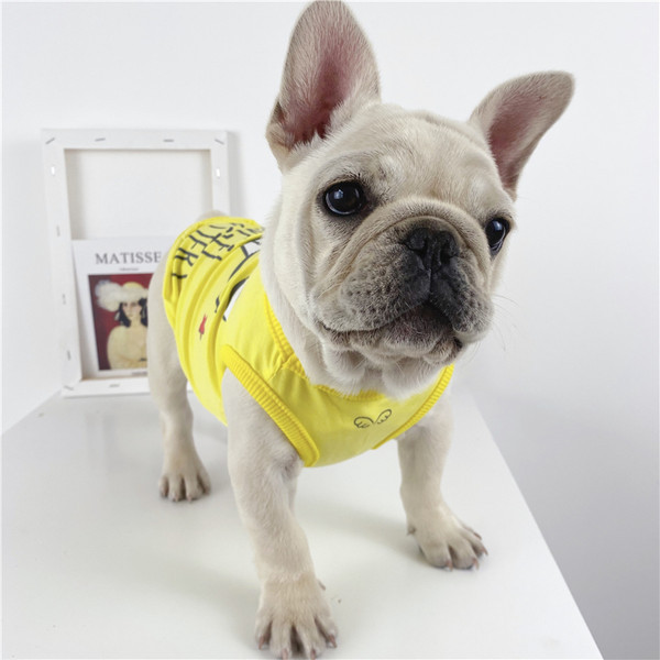 Koerte suvine õhuke aplikatsiooniga vest