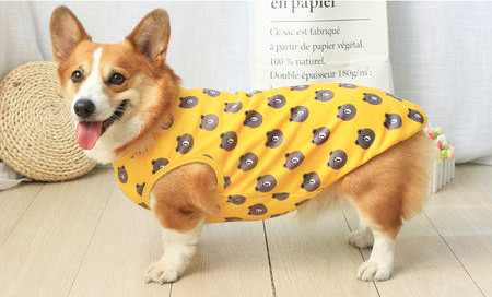 Βαμβακερό μπλουζάκι σκύλου με στάμπα