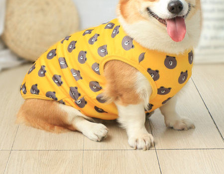 Βαμβακερό μπλουζάκι σκύλου με στάμπα