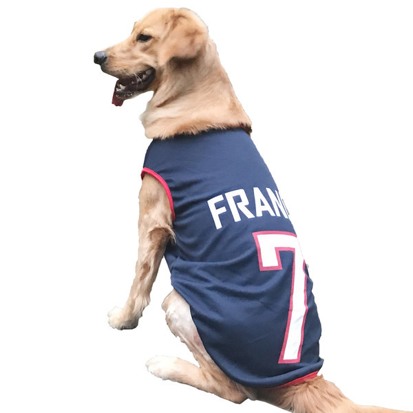 Γιλέκο σκύλου με επιγραφή - πολλά χρώματα