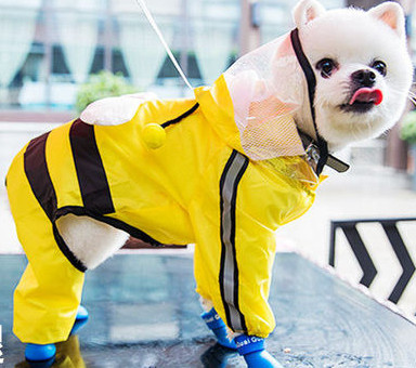 Šiuolaikinis šunų lietpaltis šunims