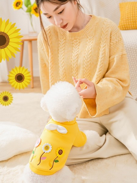 3D elementidega koerariided