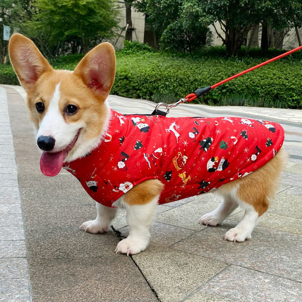 Mitmes värvitoonis lukuga vest koertele