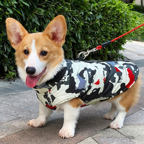 Mitmes värvitoonis lukuga vest koertele