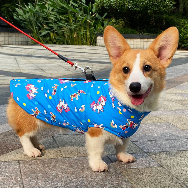 Mitmes värvitoonis lukuga vest koertele