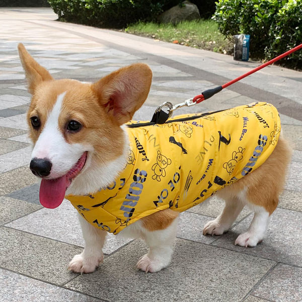 Mitmes värvitoonis lukuga vest koertele