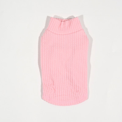 Koerariided - mitmes värvitoonis