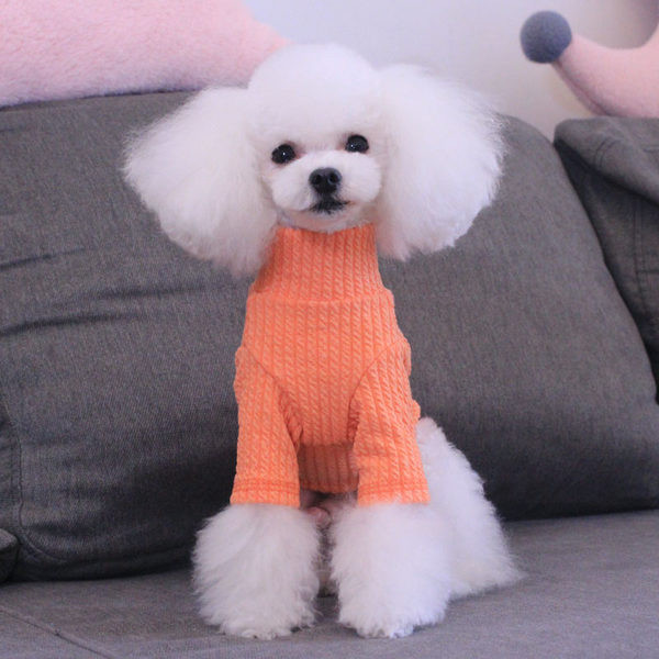 Koerariided - mitmes värvitoonis