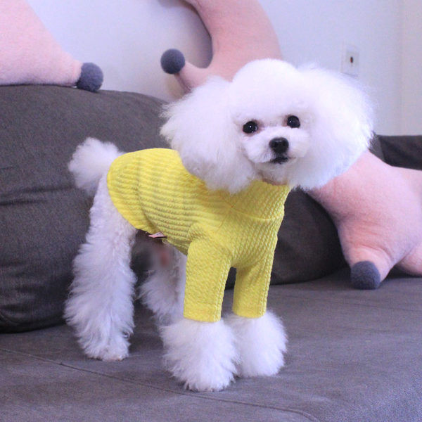 Koerariided - mitmes värvitoonis