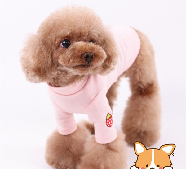 Mitmes värvitoonis tikandiga vest koertele