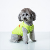 Talvine vest koertele