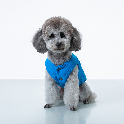 Talvine vest koertele