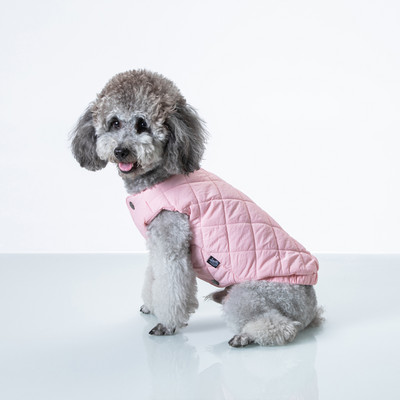 Talvine vest koertele