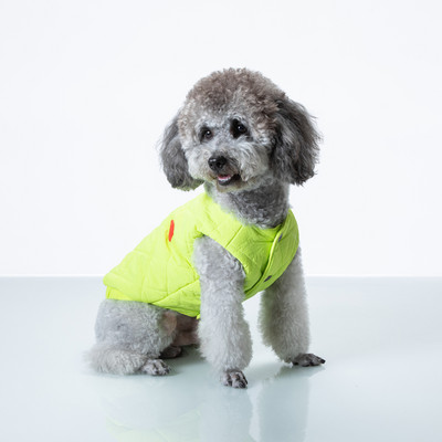 Talvine vest koertele