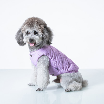 Talvine vest koertele