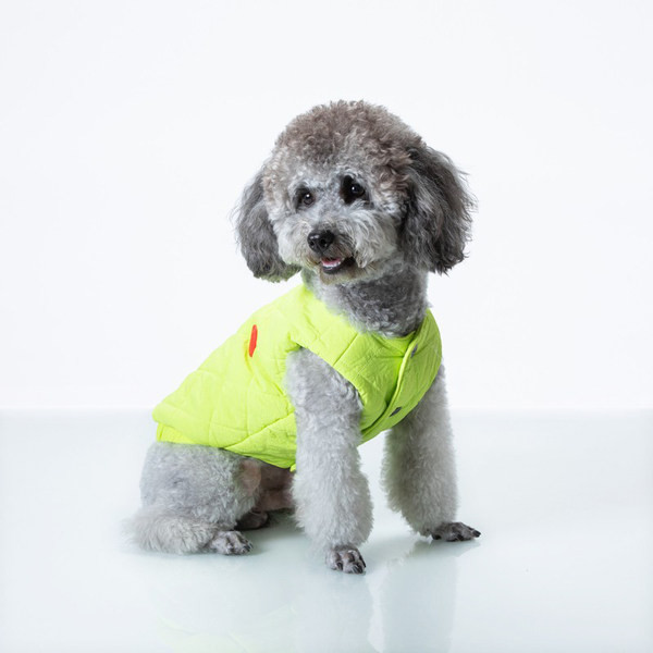 Vesta de iarna pentru caini