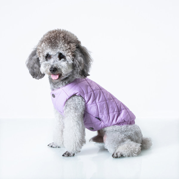 Vesta de iarna pentru caini