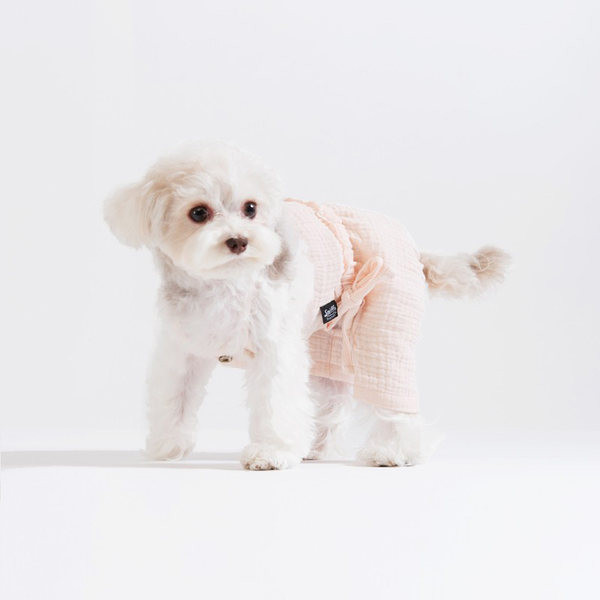 Sidemetega kombinesoonid koertele