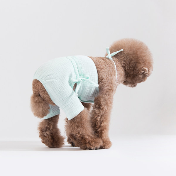 Sidemetega kombinesoonid koertele