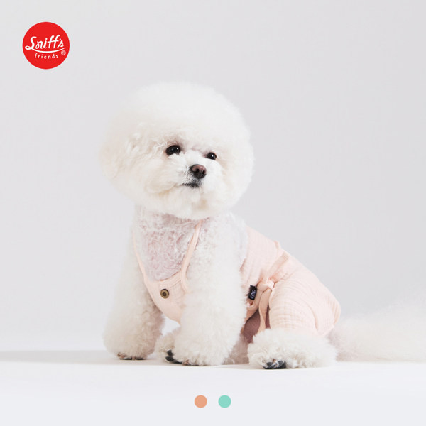 Sidemetega kombinesoonid koertele