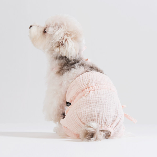 Sidemetega kombinesoonid koertele