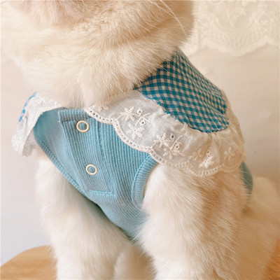 Moodne pitsiga särk koertele ja kassidele