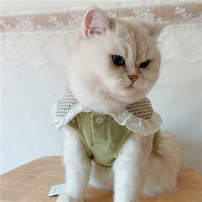 Moodne pitsiga särk koertele ja kassidele