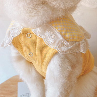 Moodne pitsiga särk koertele ja kassidele