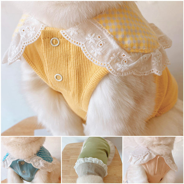 Moodne pitsiga särk koertele ja kassidele