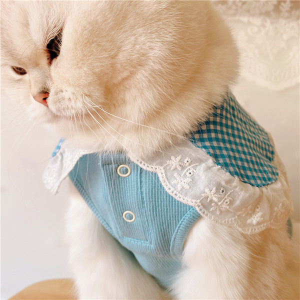 Moodne pitsiga särk koertele ja kassidele