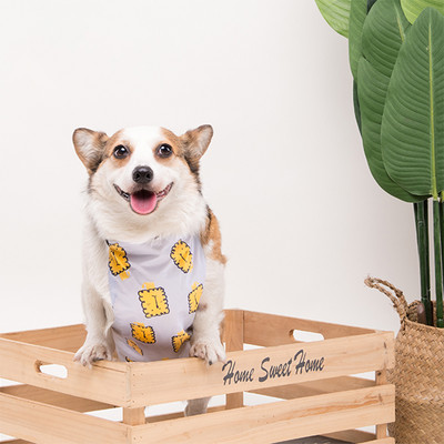 Lühikeste jalgadega kaptenkoer veekindel kõht, kõht, vihmane päev, mittemärg kõht