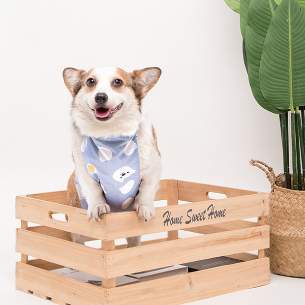 Lühikeste jalgadega kaptenkoer veekindel kõht, kõht, vihmane päev, mittemärg kõht