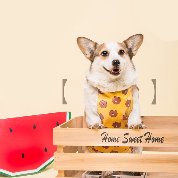 Lühikeste jalgadega kaptenkoer veekindel kõht, kõht, vihmane päev, mittemärg kõht